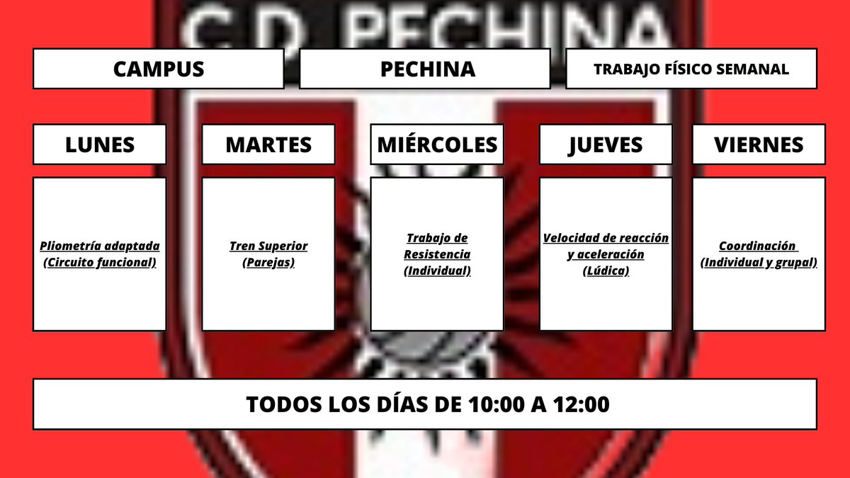 CD_PECHINA's tweet photo. Esta es la planificación de la Primera Semana del Campus de Pretemporada 24/25. 

3 plazas libres para la 1S
8 para la segunda

Contacto: 651519745 https://t.co/zhMo1wQNZl