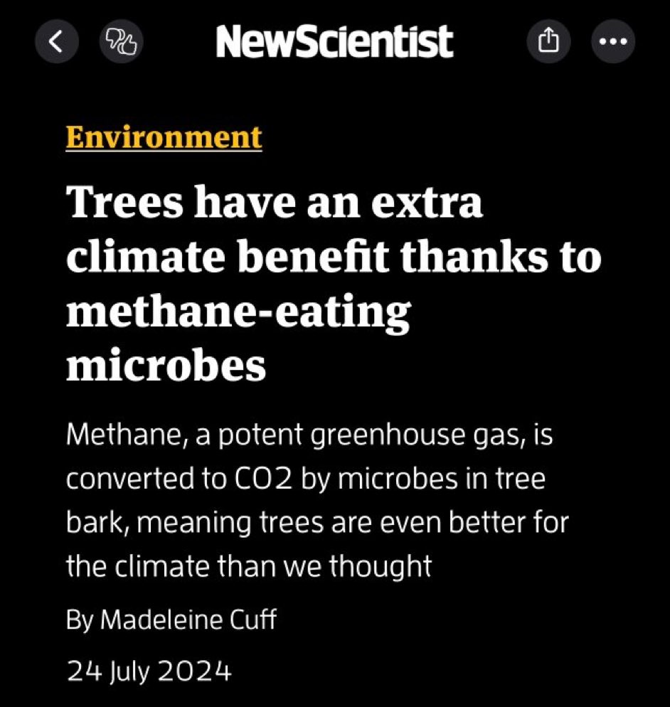 JamesMelville's tweet photo. Well knock me down with a feather. Who would have thought it? Follow the environmentalism science of trees. 
🌳🌳🌳🌳🌳 https://t.co/hIBq8QvfqW