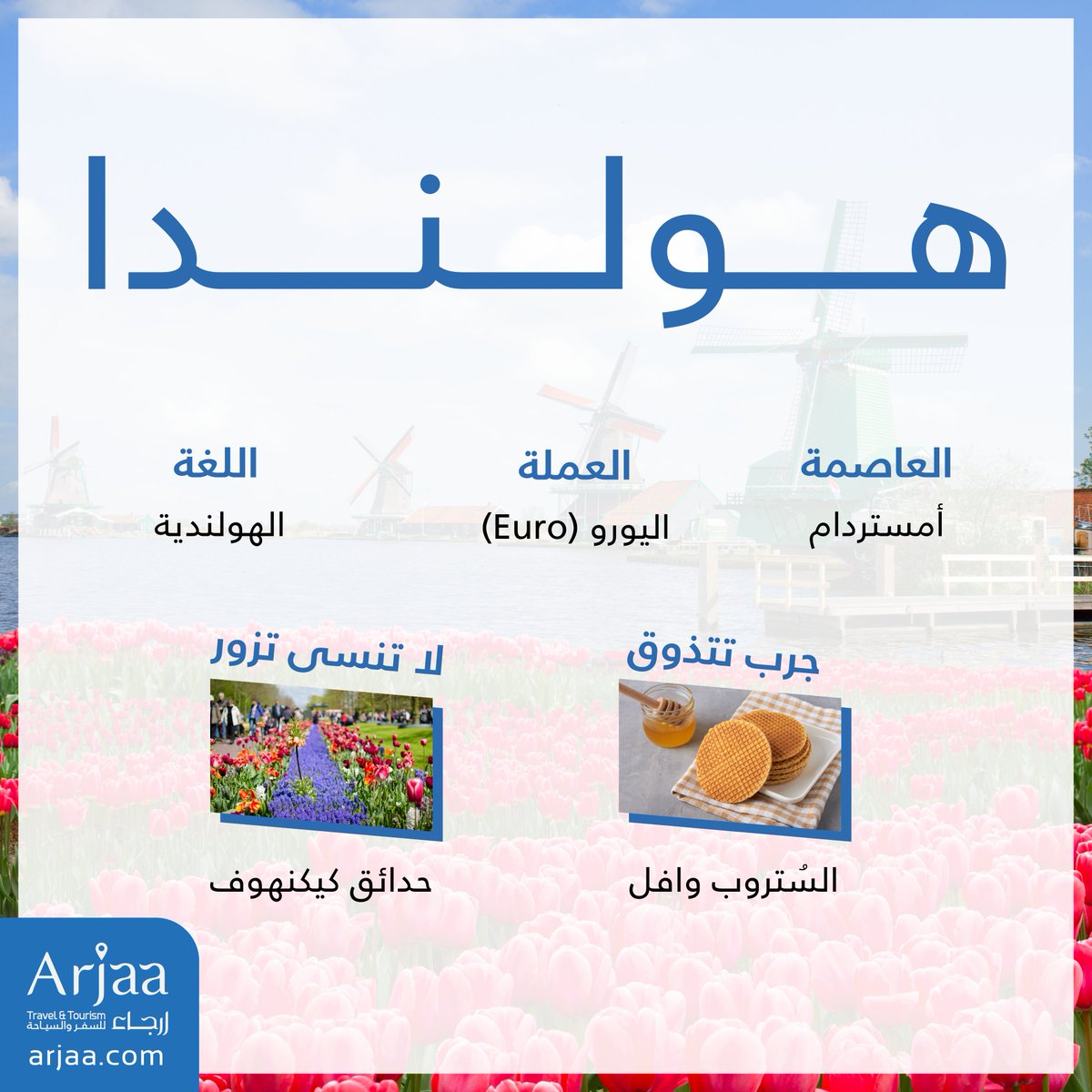 تقع مملكة #هولندا في غرب أوروبا، وتشتهر بحقول الزهور الملونة والمطاحن الهوائية التقليدية 🇳🇱

#العالم_مع_أرجاء