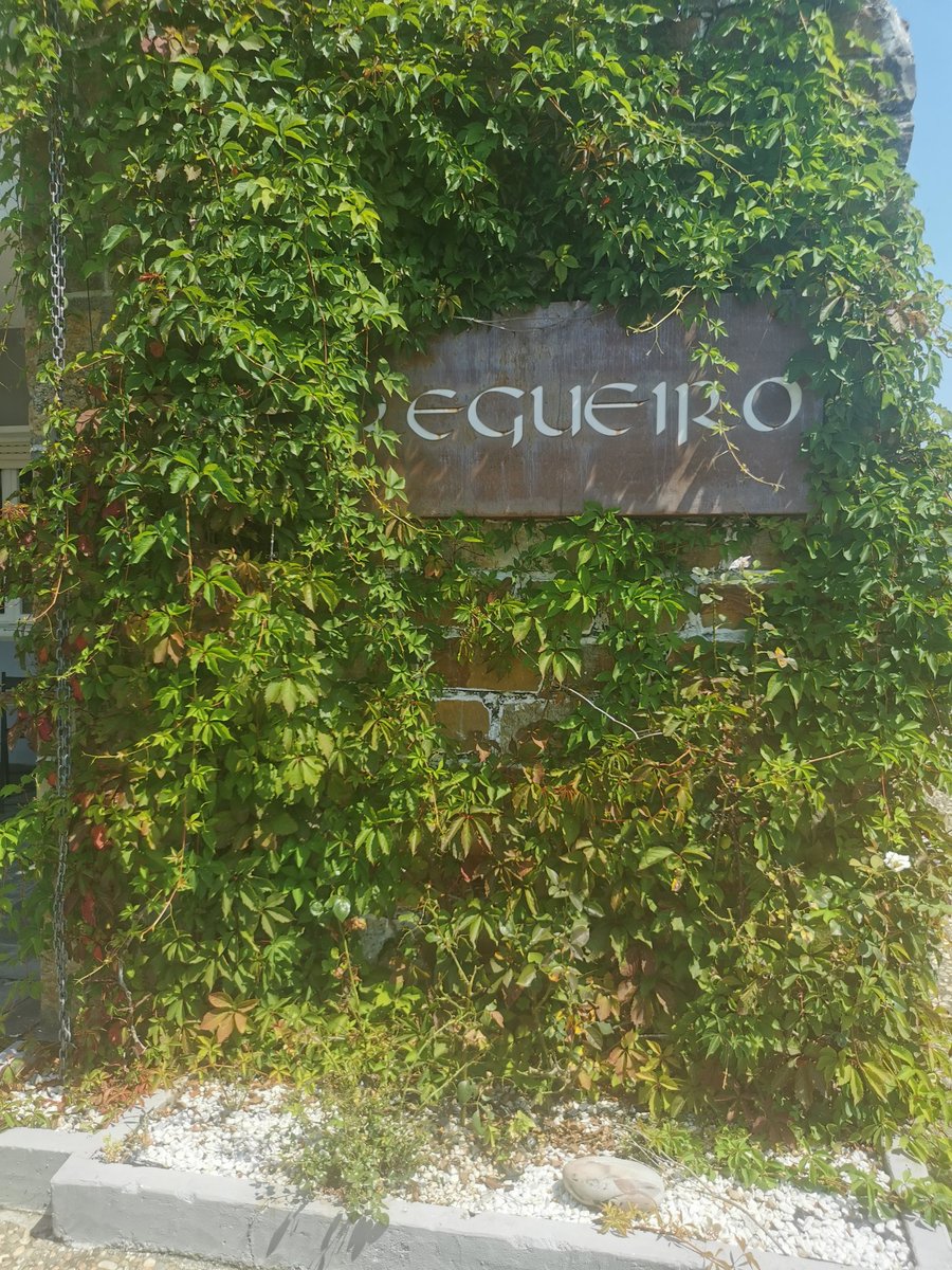 Icì.

Dieguin, un fenómeno.