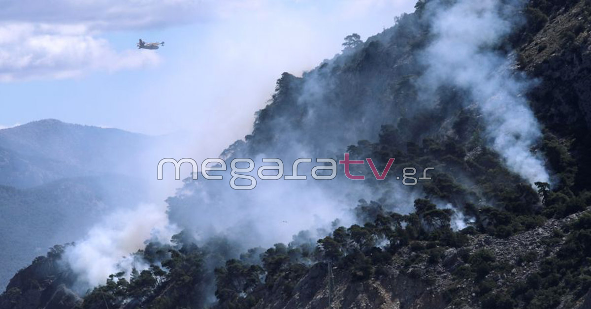 MegaraTV tweet media