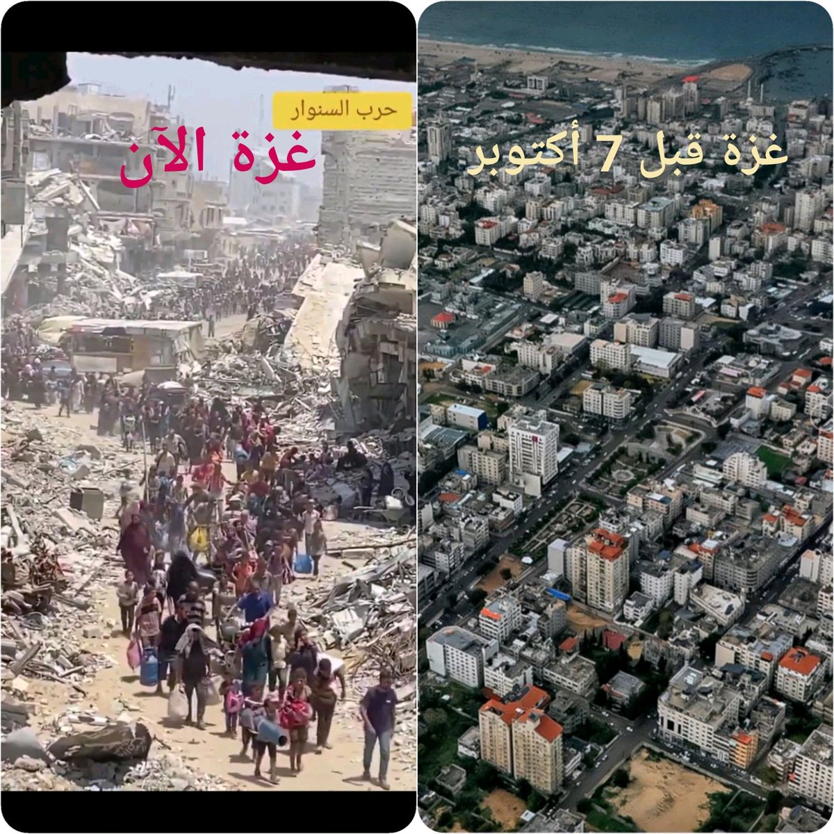 هاني مسهور tweet media