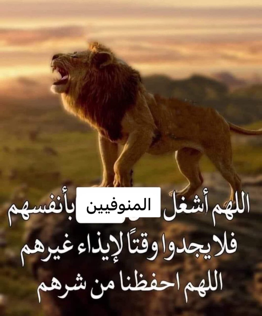zagl0ula's tweet photo. https://t.co/iMOxwfblcc