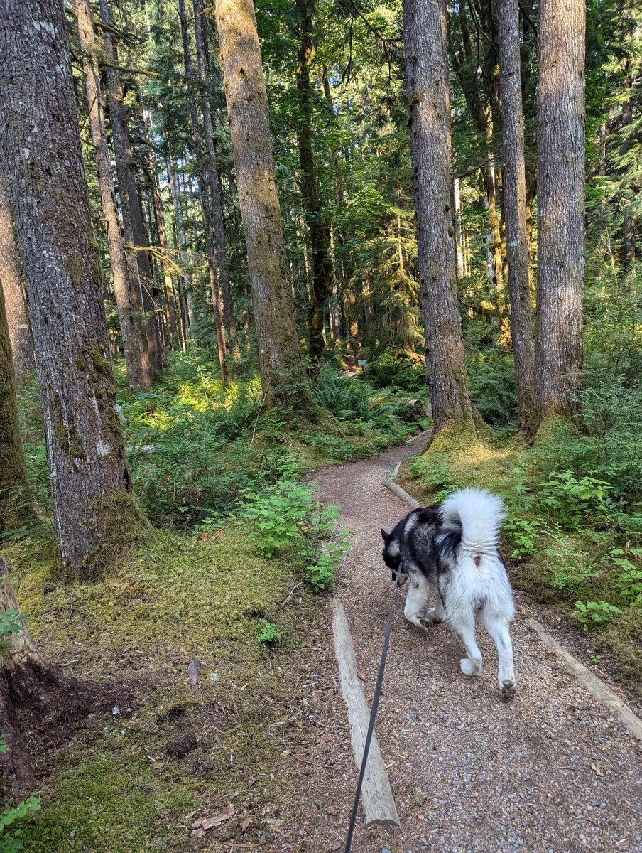 Back home from our camping trip! A fun time was had by all and Baldo's new nickname is River for how much time he wanted to send in it hahaha