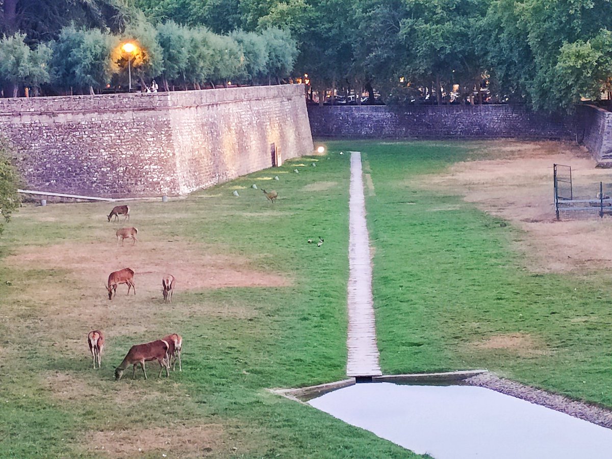 vivelavidaroca's tweet photo. 📍Portal Nuevo y Parque de la Taconera #Pamplona
👉🏼Este portal fue reconstruido en el s.XX. Hay bonitas #vistas del Monte Ezkaba y los prepirineos
🌳#LaTaconera es uno de los #PulmonesVerdes de Pamplona
🦌Para ver los #ciervos que hay en su foso el mejor momento es al #anochecer https://t.co/g831Y7UYIB