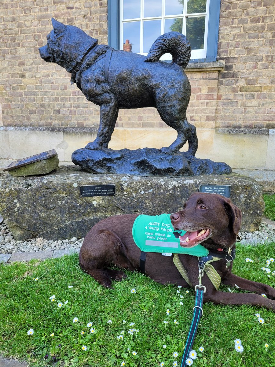 Isabelle Cooper tweet media