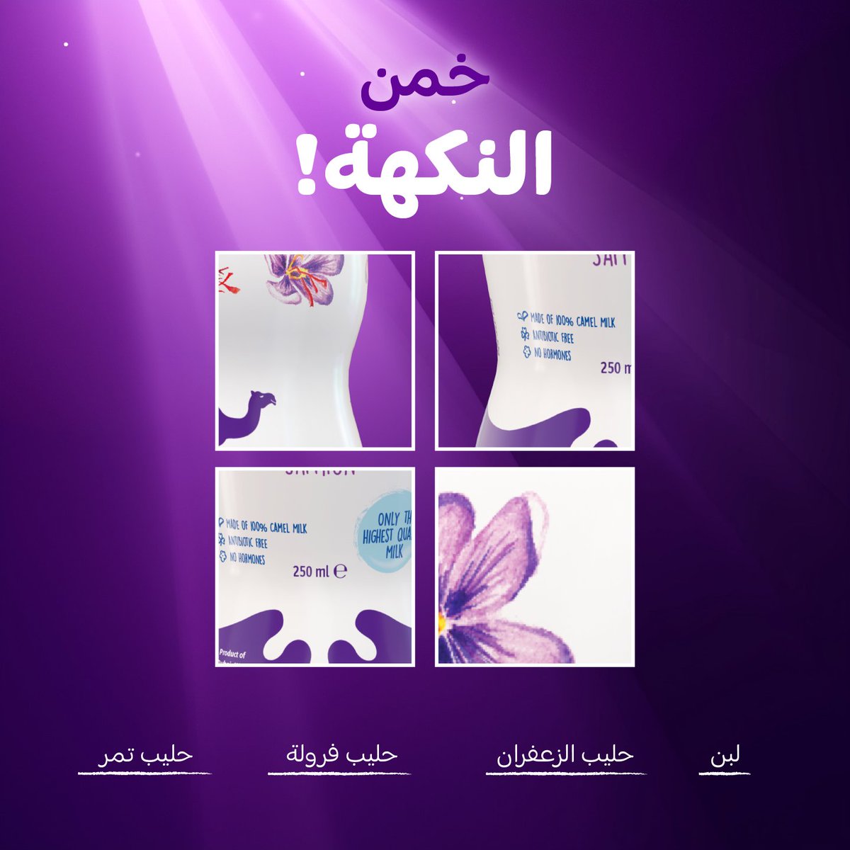 Camelicious tweet media