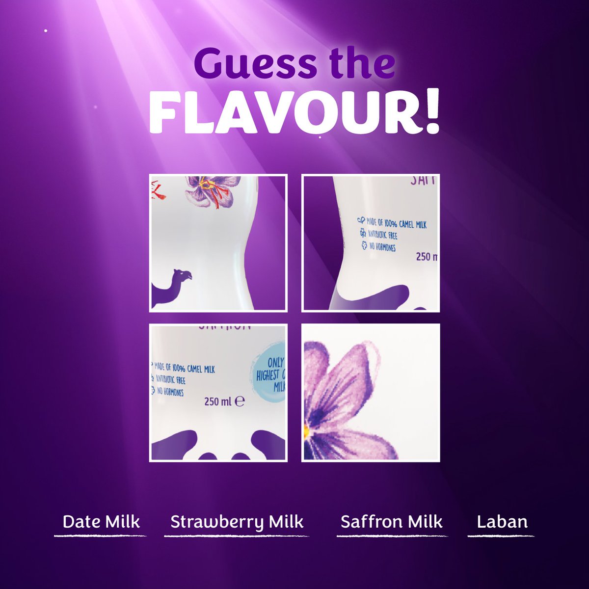 Camelicious tweet media