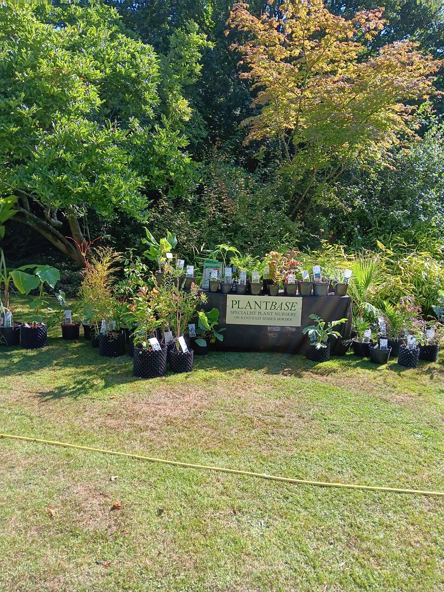 Plantbaseuk's tweet photo. 2nd day of the #greatcomp flower show. Sales stock whittled down and ready to be boiled alive. https://t.co/tcU9fzKbOO
