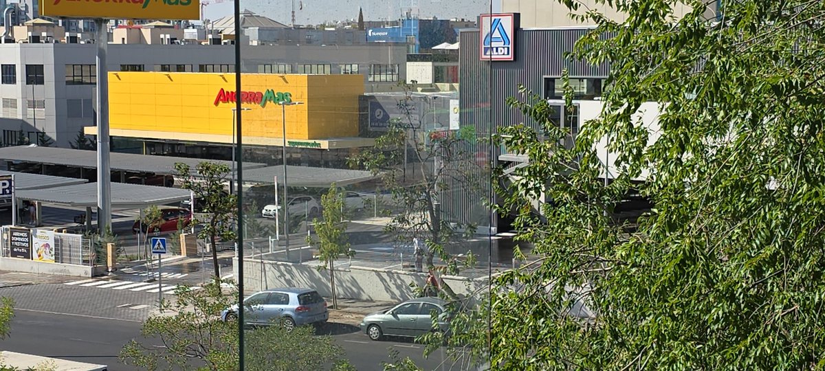 David T. tweet media