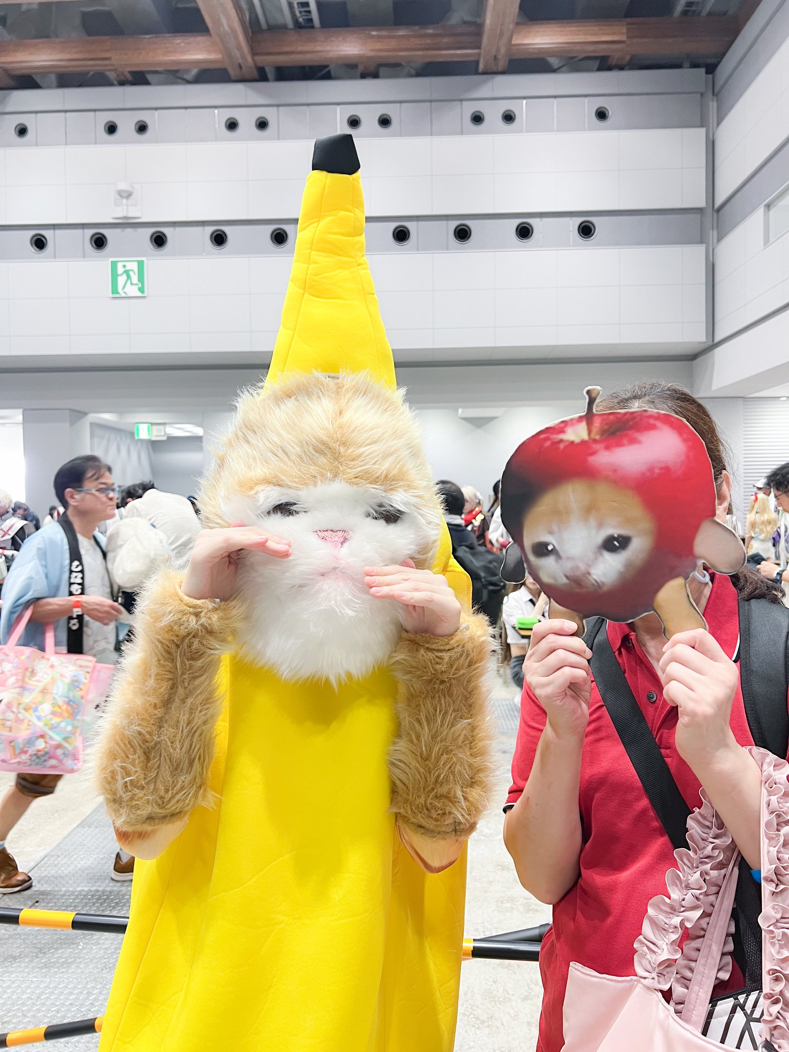 Amazon.co.jp: YAYAHDS(よしこ) バナナキャット バナナ猫 可愛い