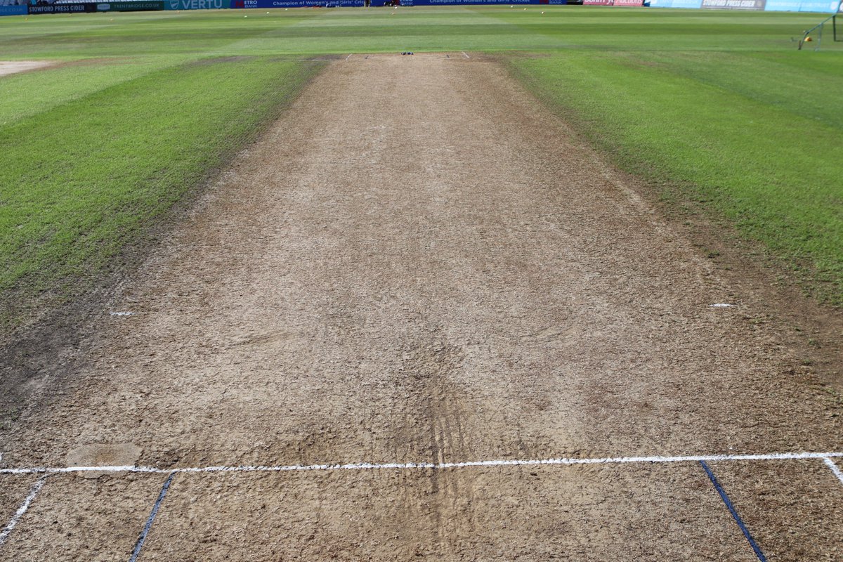 EssexCricket's tweet photo. 🌱 𝗪𝗶𝗰𝗸𝗲𝘁 𝘄𝗮𝘁𝗰𝗵.

What would you do if you won the toss?

🦅 #FlyLikeAnEagle https://t.co/fmgOtODbTF