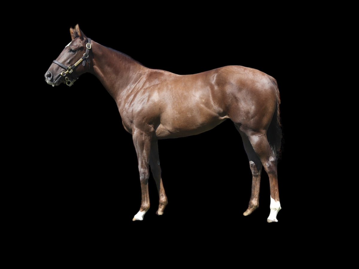 Tracy Vigors tweet media