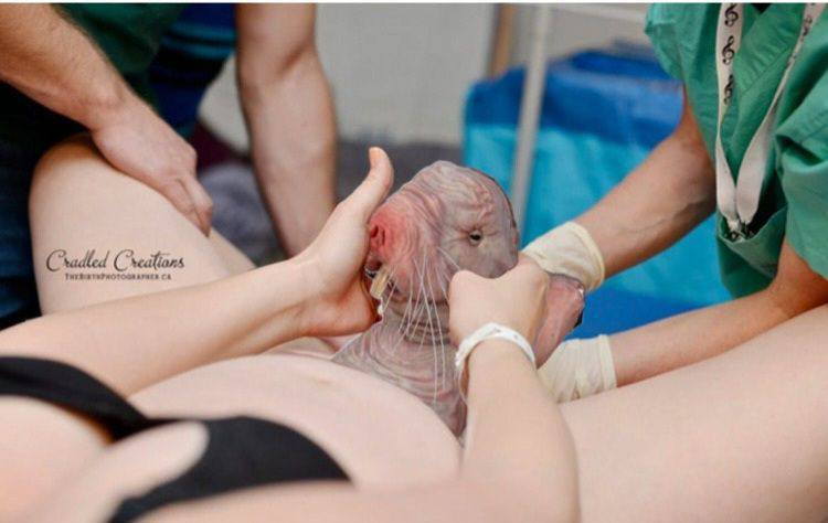 Chilling Naked Mole Rat tweet media
