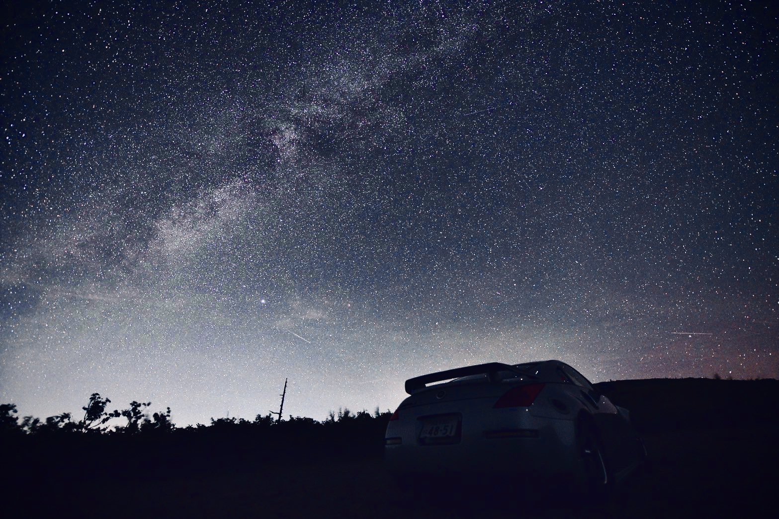 ぐら♡ くらら (@wildexam) / X