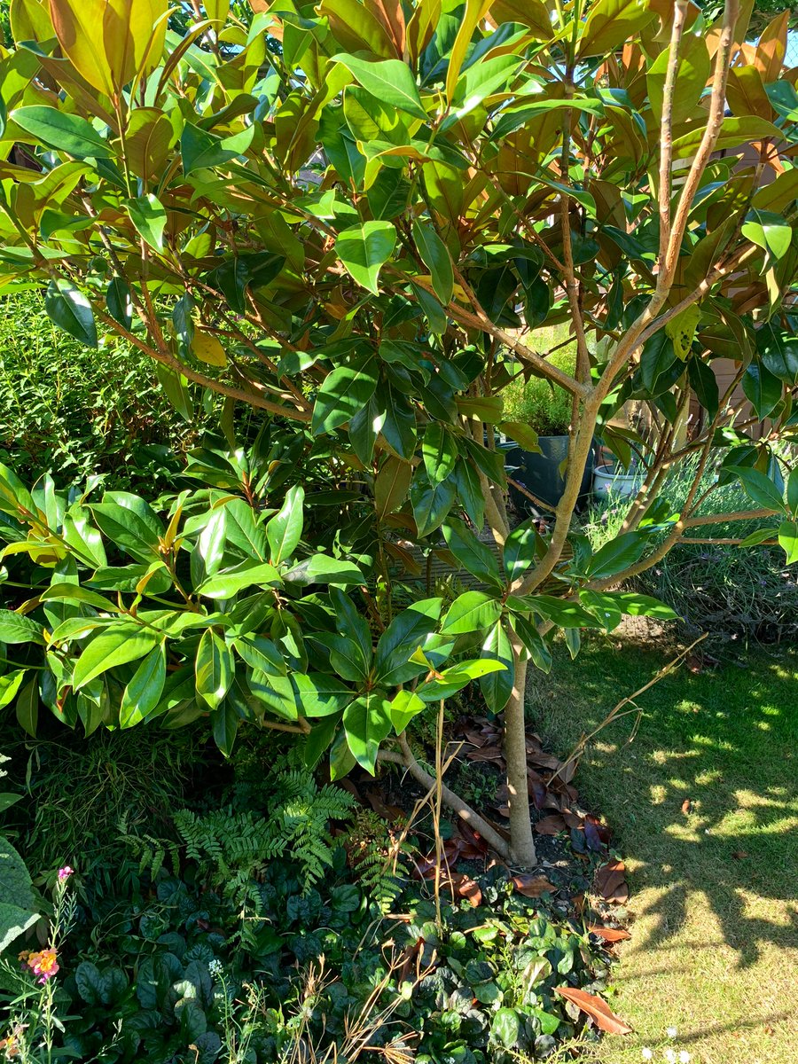 Andrew Griffiths tweet media