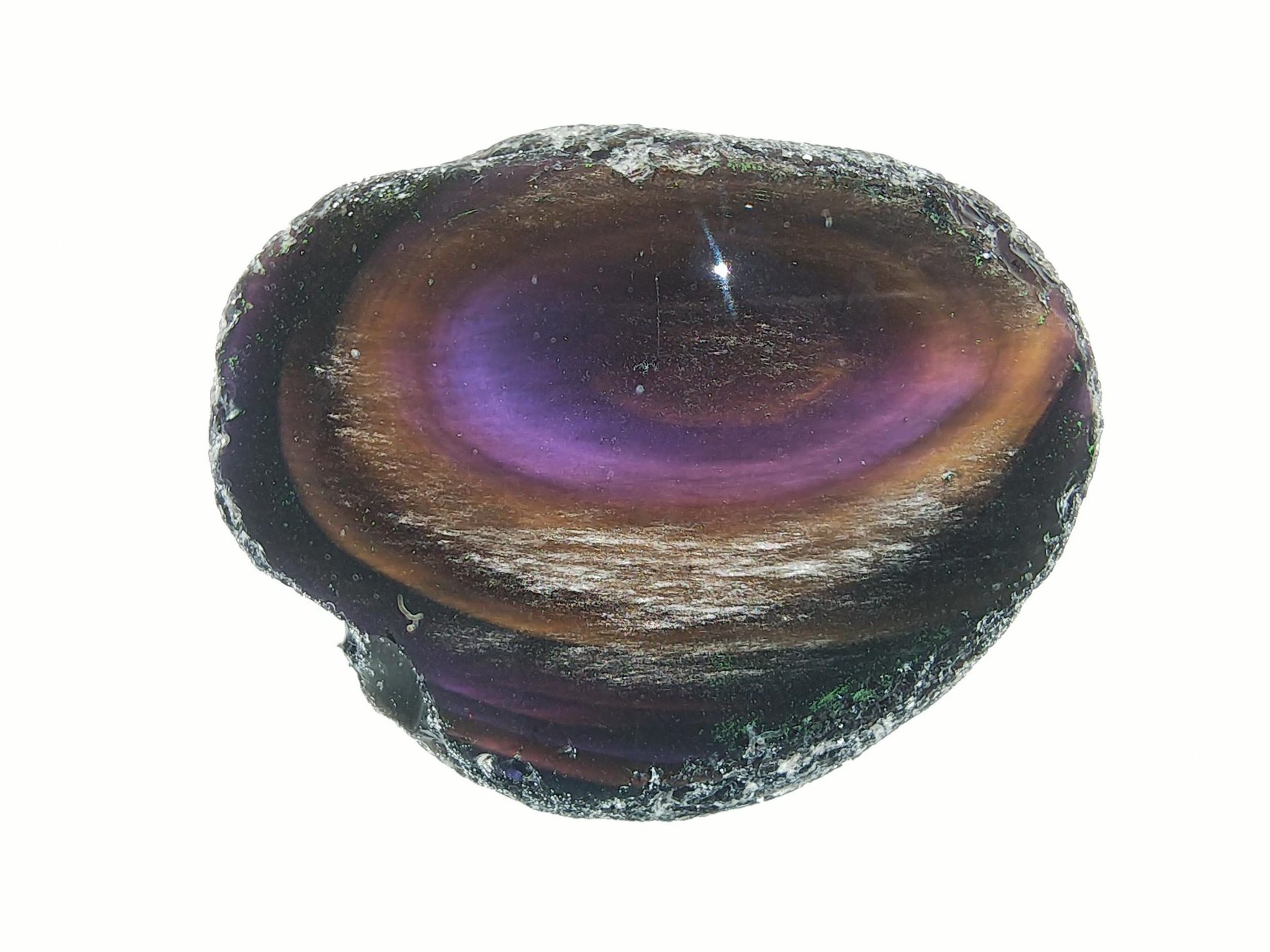 十勝石玲瓏(研磨品)特大銀河 十勝石玲瓏(研磨品)特大銀河