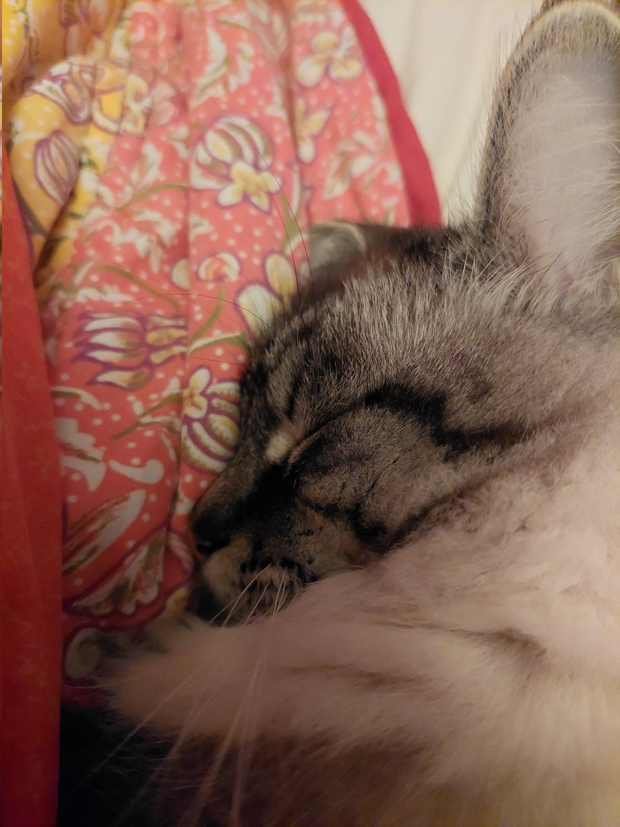 TheSnert's tweet photo. @azusOnlySpams Here's Frickle to inspire you to stay asleep longer. https://t.co/IaKIOyksvG