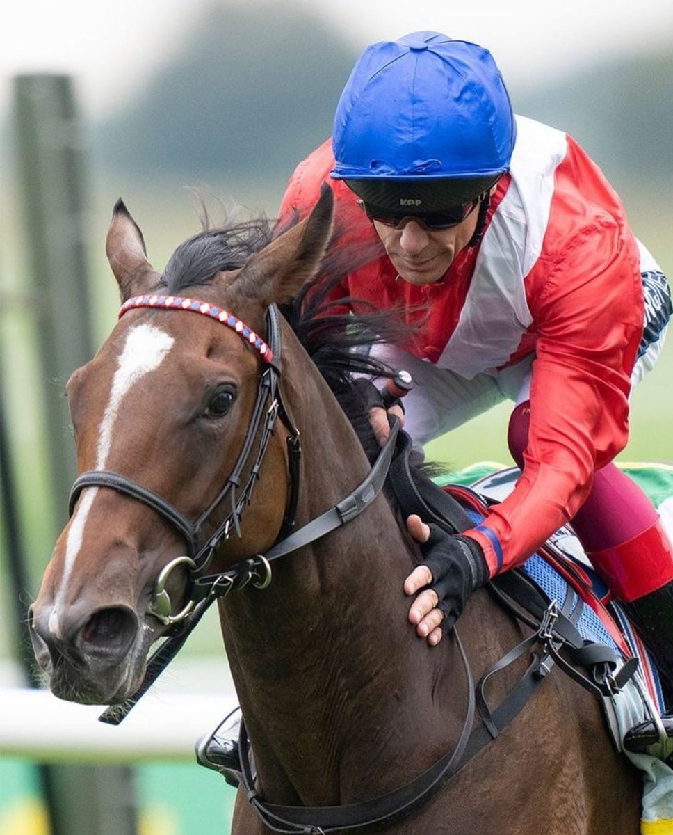 💷 If INSPIRAL WINS The G1 PRIX JACQUES Le MAROIS Under RYAN MOORE At DEAUVILLE Today: 😍

I'll give £200 Cash to One of YOU Lucky People Tonight!! 💷

To Enter: 👇

1️⃣ RT This Tweet
2️⃣ Like This Tweet
3️⃣ Follow <a href="/racingblogger/">Stephen R Power</a>

GOOD LUCK EVERYONE! 

#Win #Deauville #Horse 🇫🇷 🏇