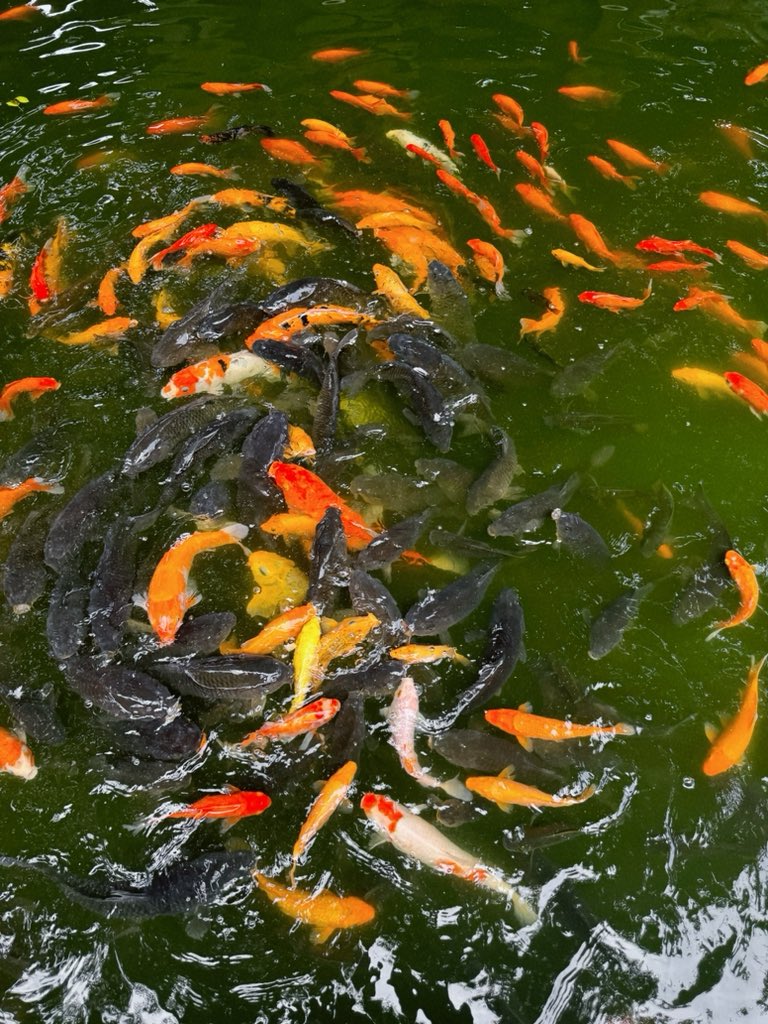 福利姬好喜欢吃火锅分享的黄推图片3 - 网红私拍内容