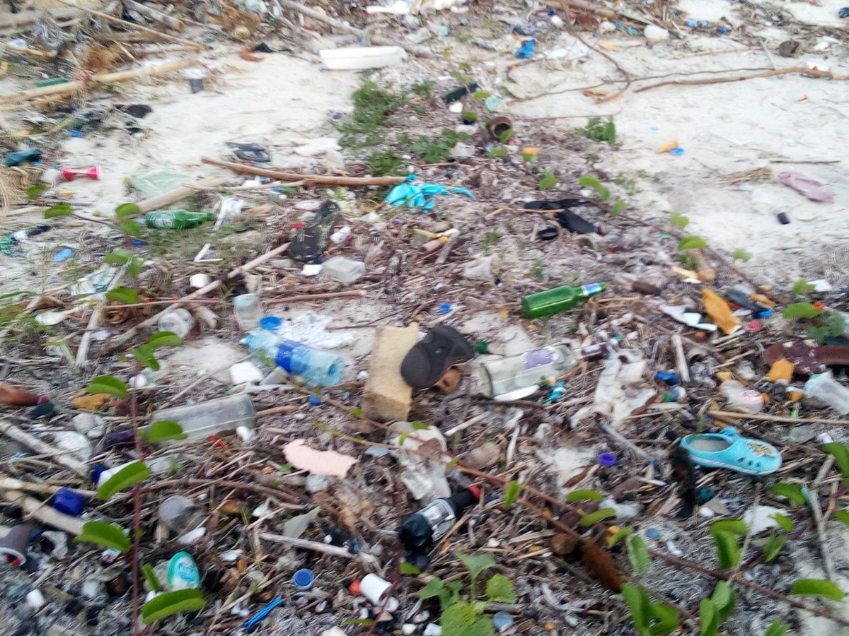 ChristopheUwiz's tweet photo. 1.Current statistics estimate that 100 million marine animals die each year from plastic waste alone. 100,000 marine mammals  die from getting entangled in plastic yearly. 

I took these photos on Indian Ocean/African Coastal Zone 

@EnviroRwanda @ImanishimweAnge @NadinUmuhoza https://t.co/YbNtWyaRXx