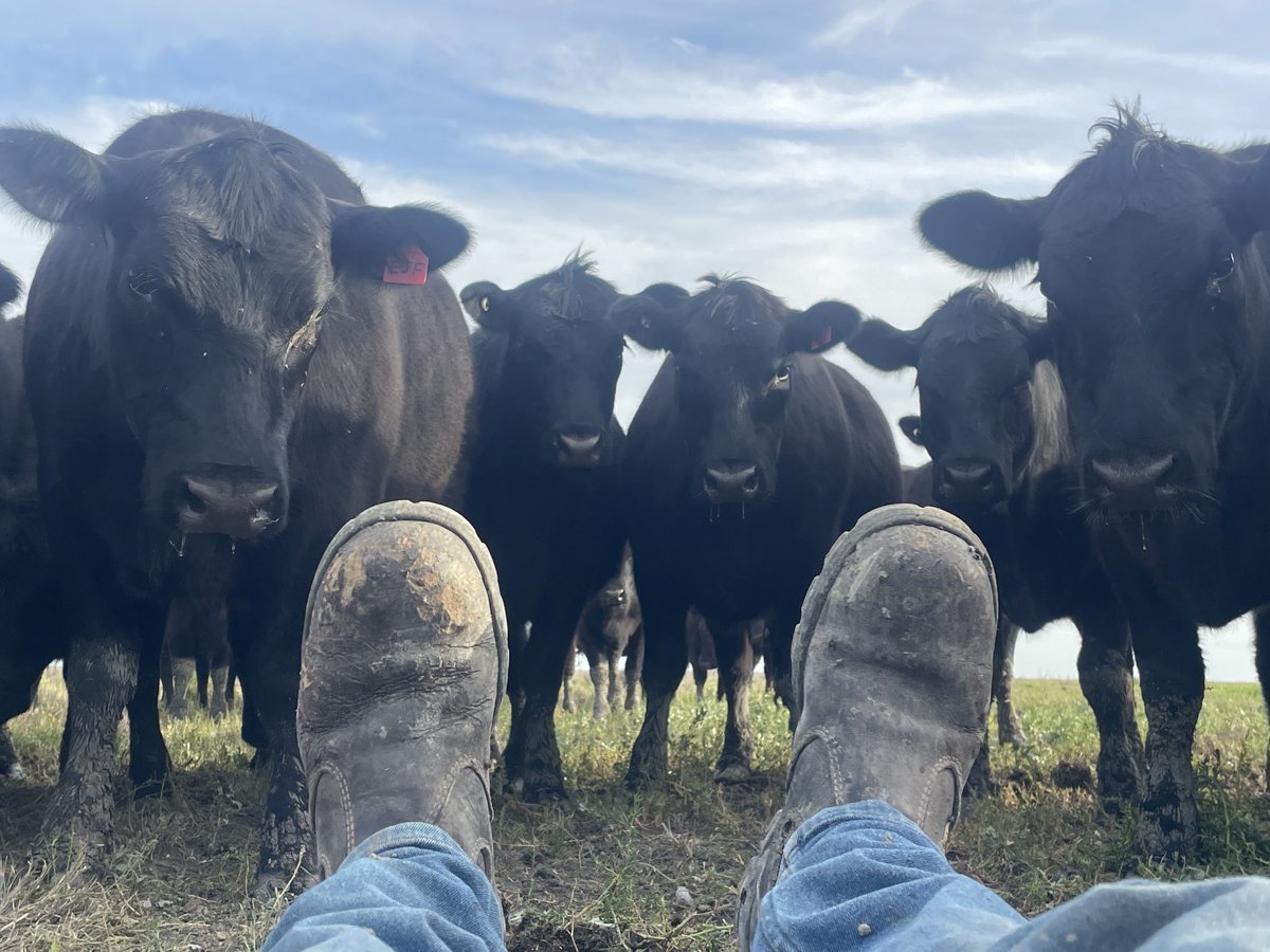 💧Ed Fessey tweet media