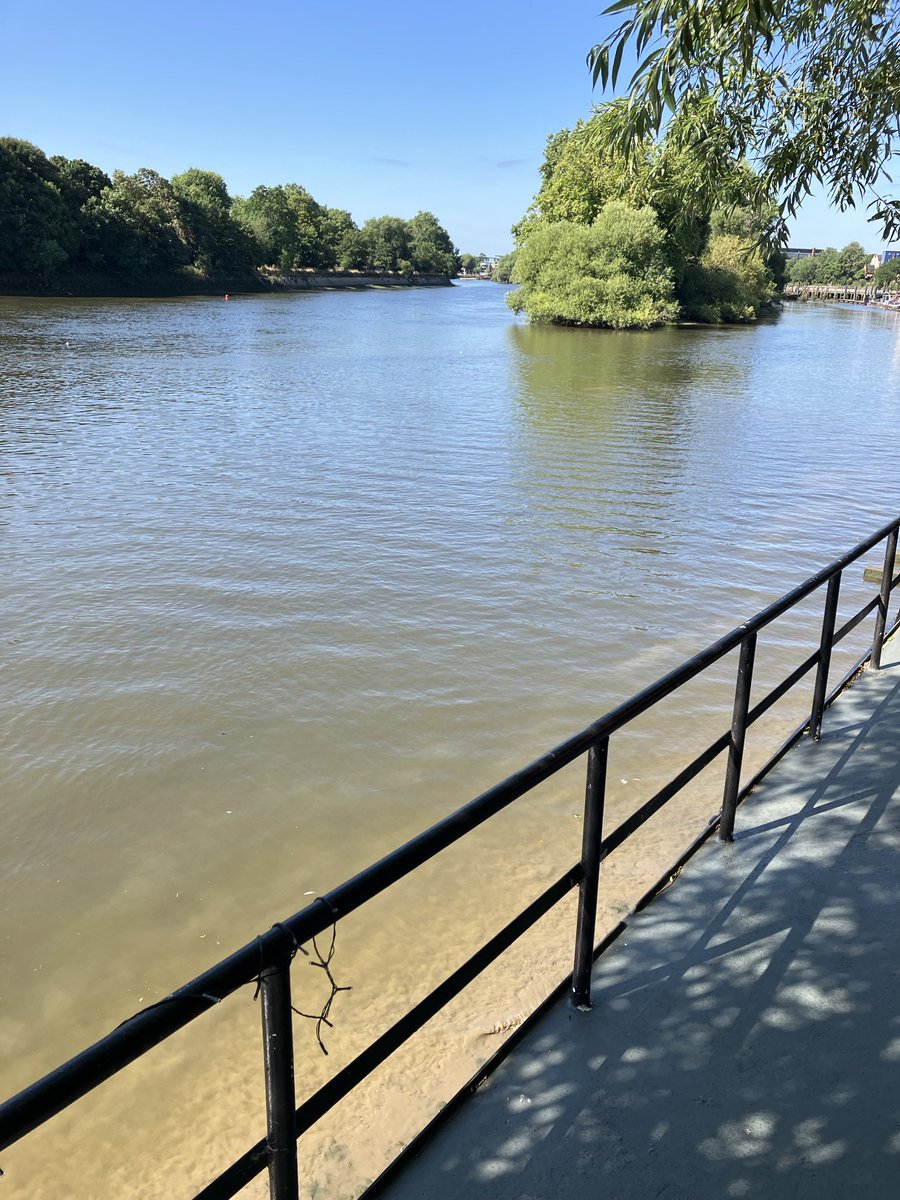 susan penhaligon 〓〓 tweet media