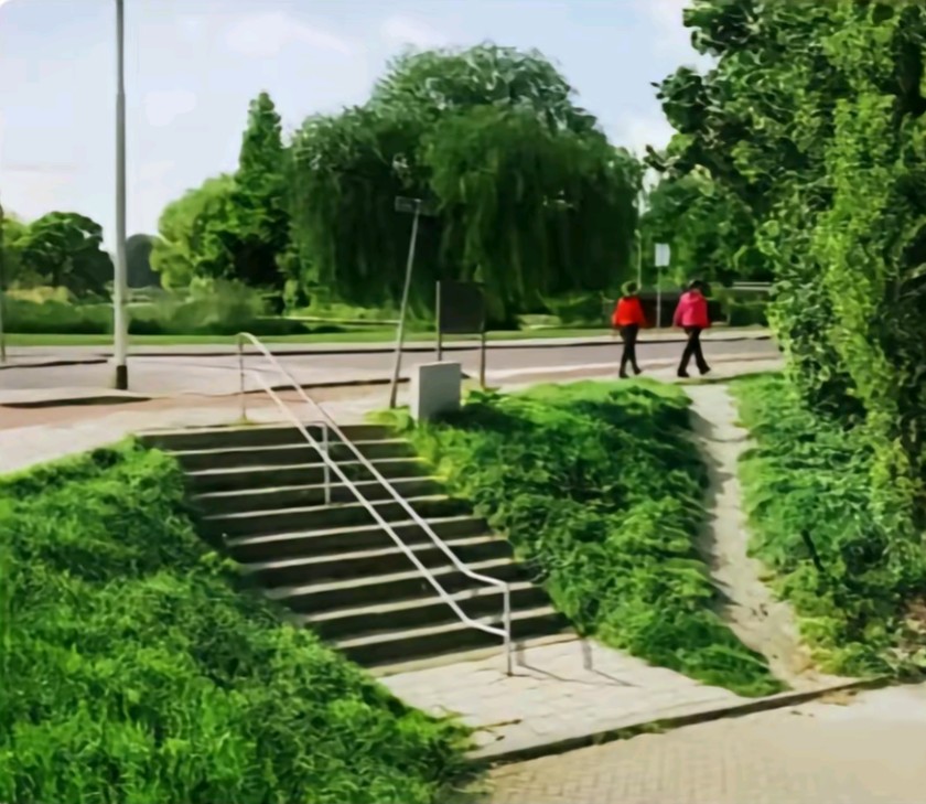 Elephant Paths - 'wisdom of crowds' in where to site a path