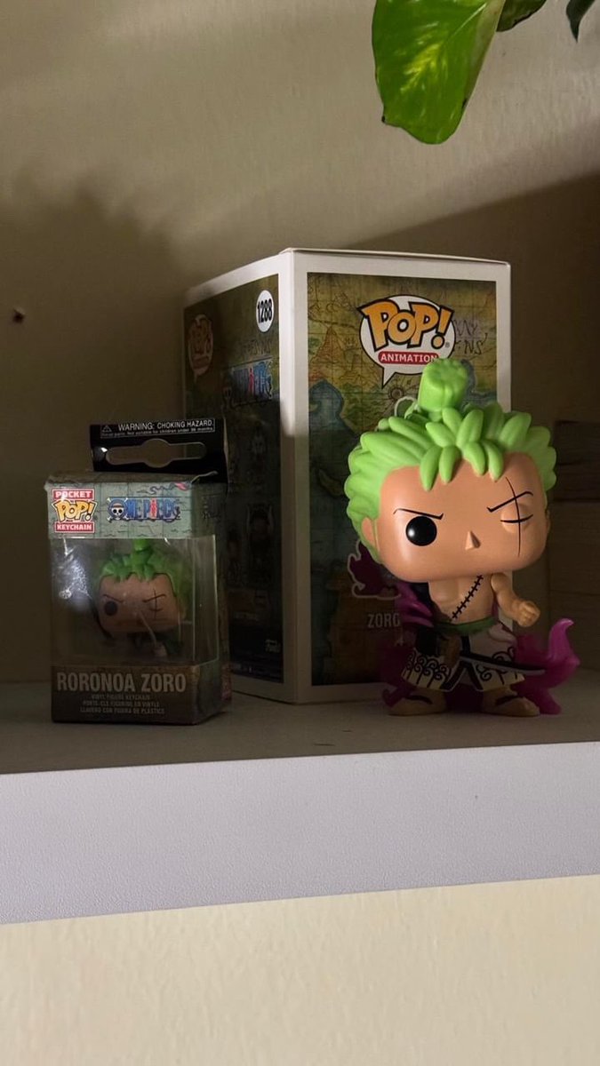 ZORO 🤍💚