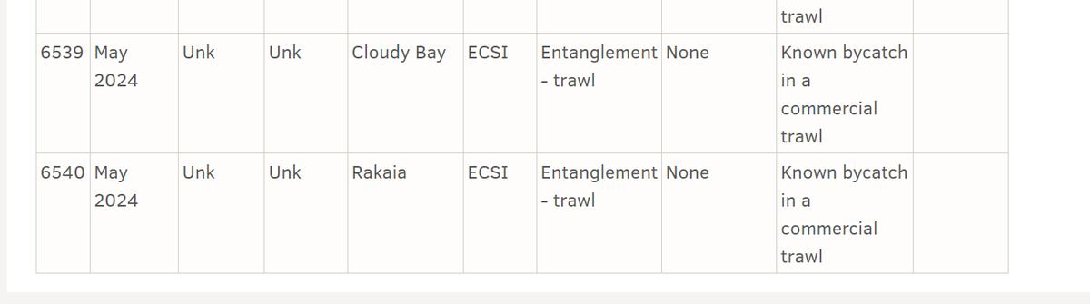 Bycatch overboard?
Unknown age, sex, no necropsy

doc.govt.nz/our-work/hecto…
#protecthectors