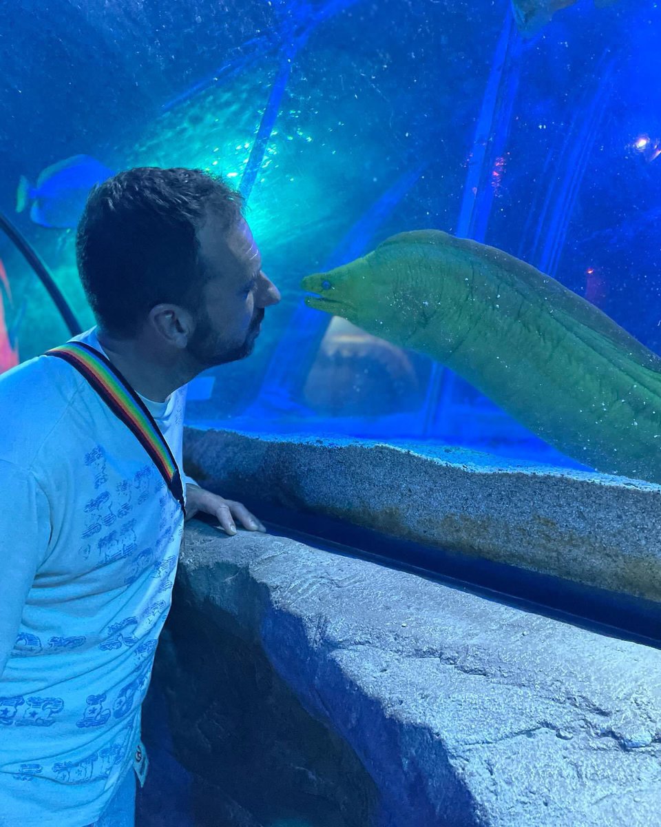 A Sewell (@ashleysewell13) on Twitter photo 