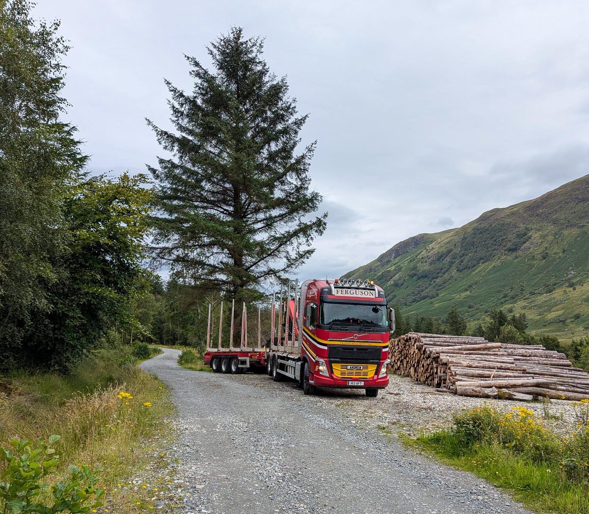 Andrew Robertson tweet media