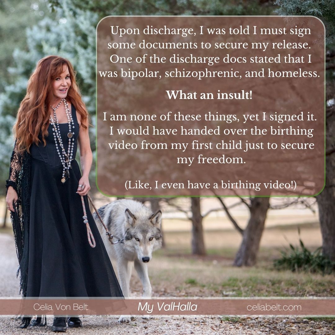 CeliaBeltAuthor's tweet image. "One of the discharge docs stated I was bipolar, schizophrenic, and homeless. I am none of these things, yet I signed it."

~ Excerpt from 𝑴𝒚 𝑽𝒂𝒍𝑯𝒂𝒍𝒍𝒂 by @celiabeltauthor

➡️ geni.us/MyValhalla

#bookboost #HealthcareHorror #HealthcareSystem #MentalHealth
