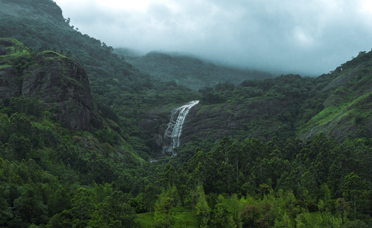 kuntal_singhvi's tweet image. Emerald Clearing
#TheFirstFriday #OrbitalChallenge

Chattamunnar waterfalls
Munnar, Kerala, India
Shot in 2022