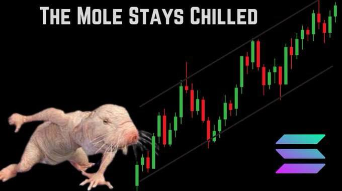 Chilling Naked Mole Rat tweet media
