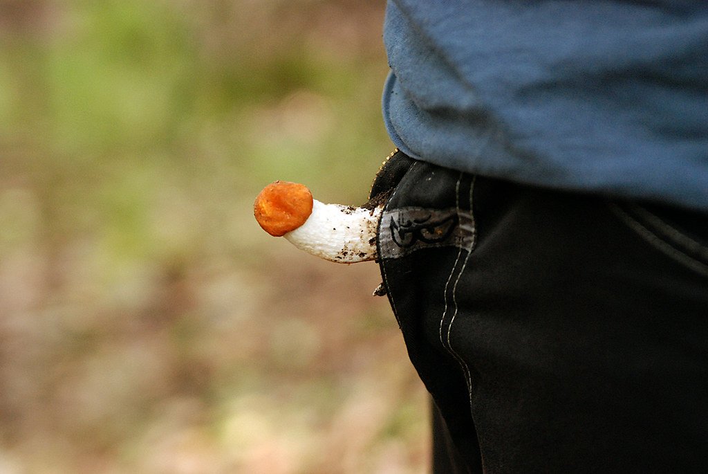 Dari ratusan ribu tahun perjalanan spesies manusia, pernah gak kepikiran, kenapa sih penis itu bentuknya kayak jamur?

Kok bentuknya bukan kayak benda lain, tapi kayak jamur? Kenapa harus jamur?

Jawabannya sederhana dan masuk akal sih, tapi…

UTAS