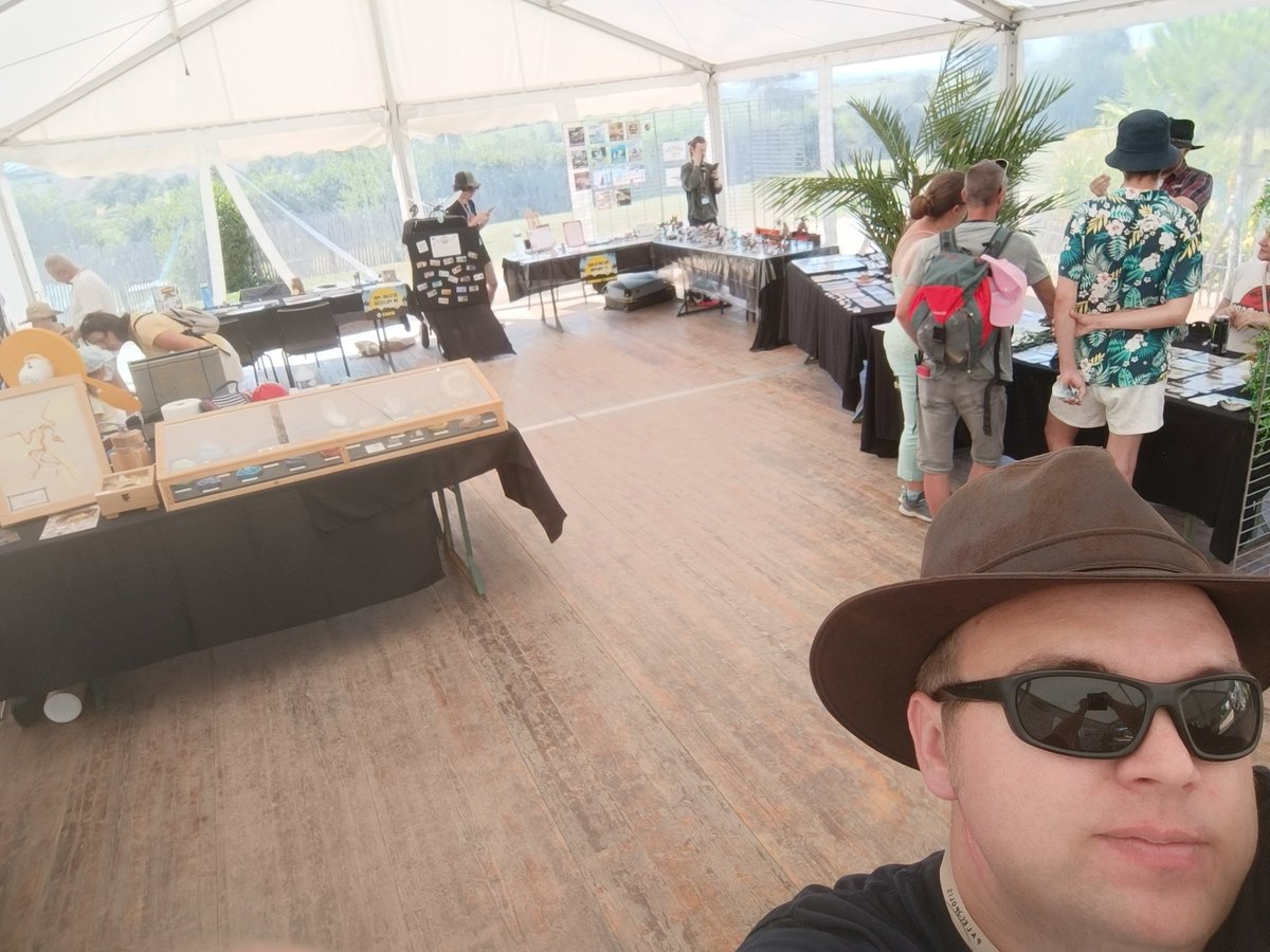 PALÉOSPHÈRE ⛏🦕🖍 tweet media