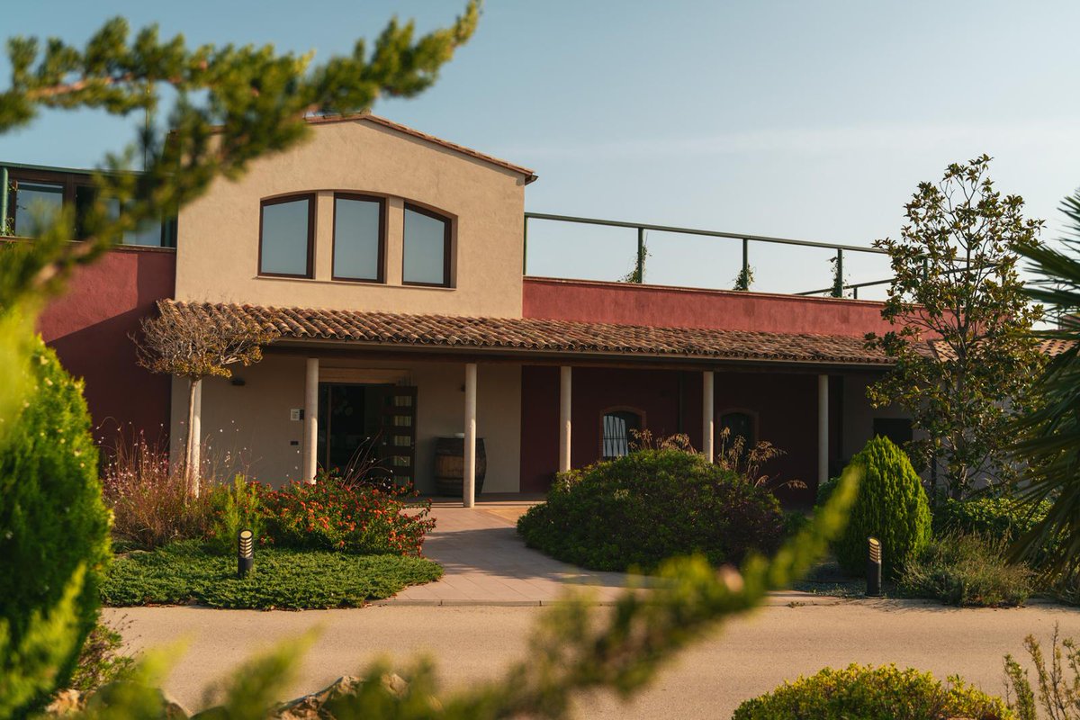 Mas Bertran tweet media