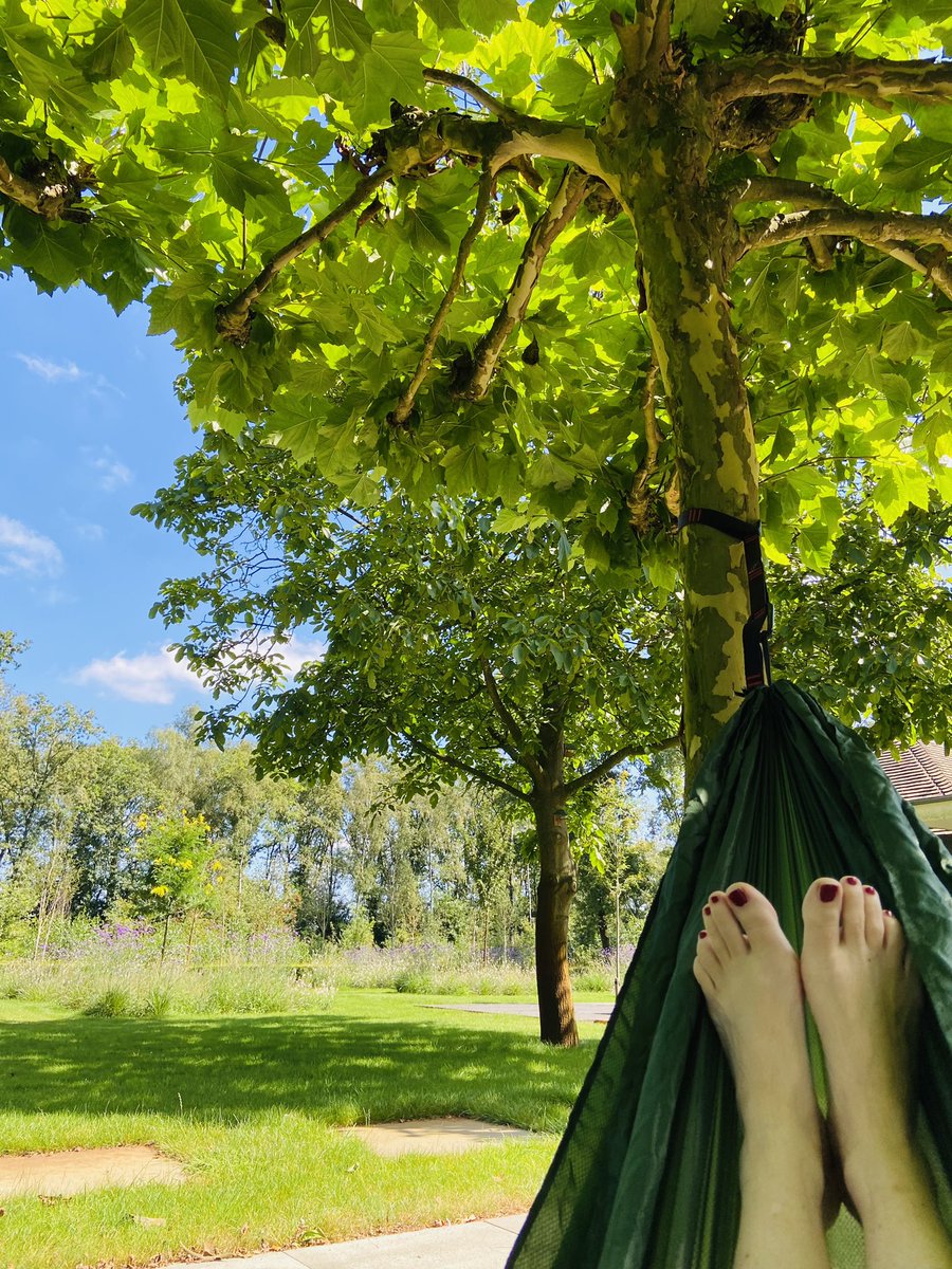 vorigelevens's tweet image. Een vrije dag! En de zon schijnt! En er is een blauwe heldere lucht! #vakantiegevoel #hangmat #tuin