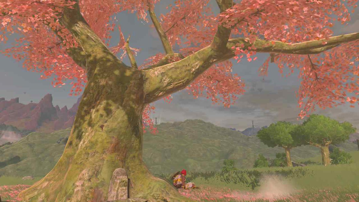TanuEvs's tweet photo. #ZeldaTearsOfTheKingdom #Zelda https://t.co/6hxflsz2fb
