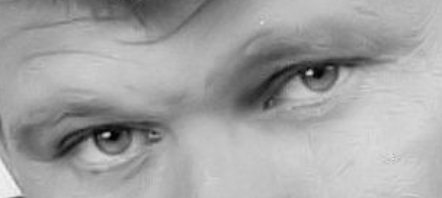 Bufo Calvin tweet media