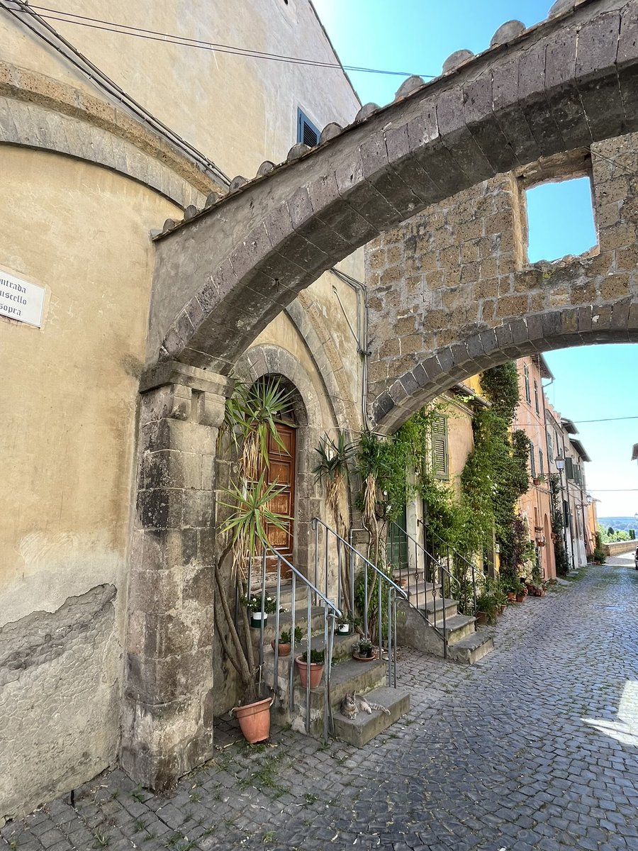 Fabien Oppermann tweet media