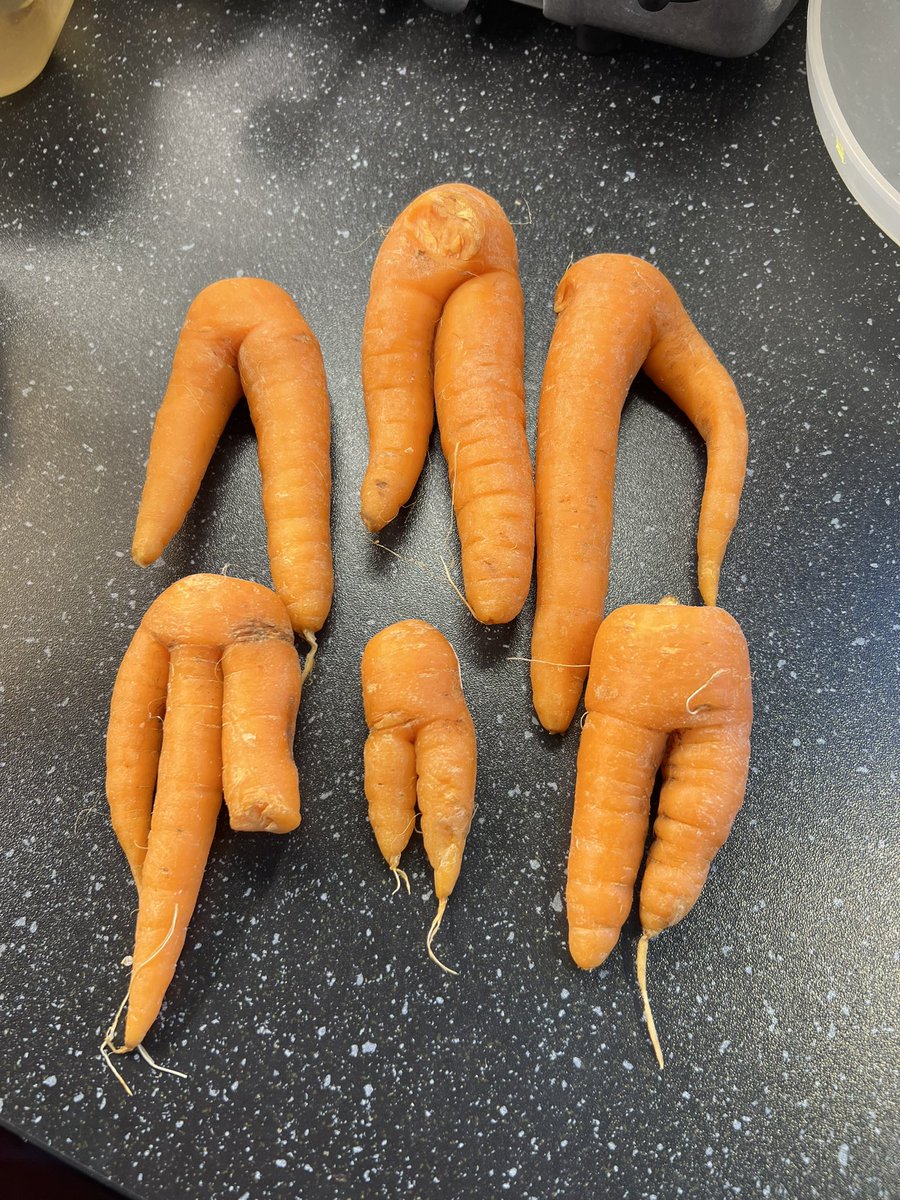 well they lived up to their name!!! 😂#wonkyveg <a href="/AldiUK/">Aldi Stores UK</a> #dontwastegoodfood #kevinthewonkycarrot #freshveg