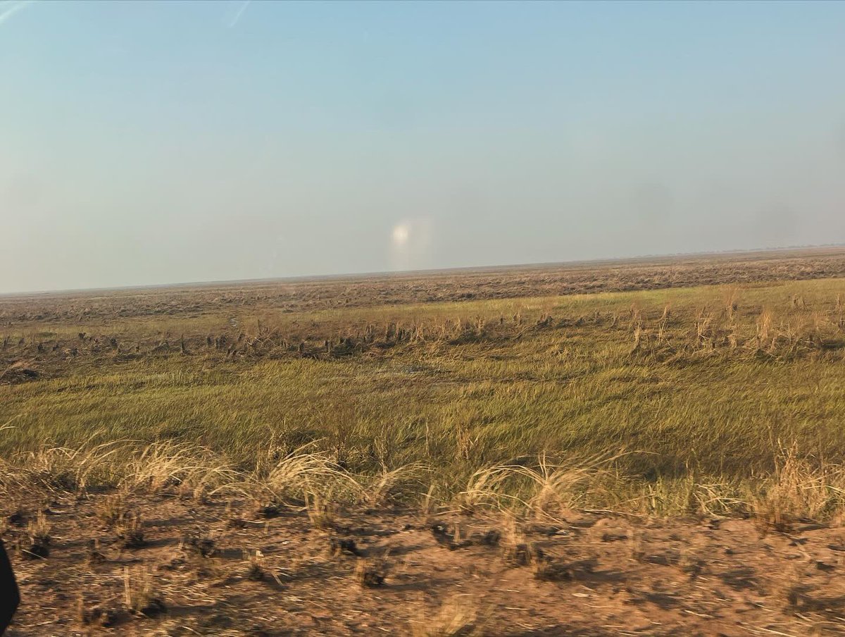IamStasho's tweet photo. "Bangweulu Wetlands..." https://t.co/681prIOc4S