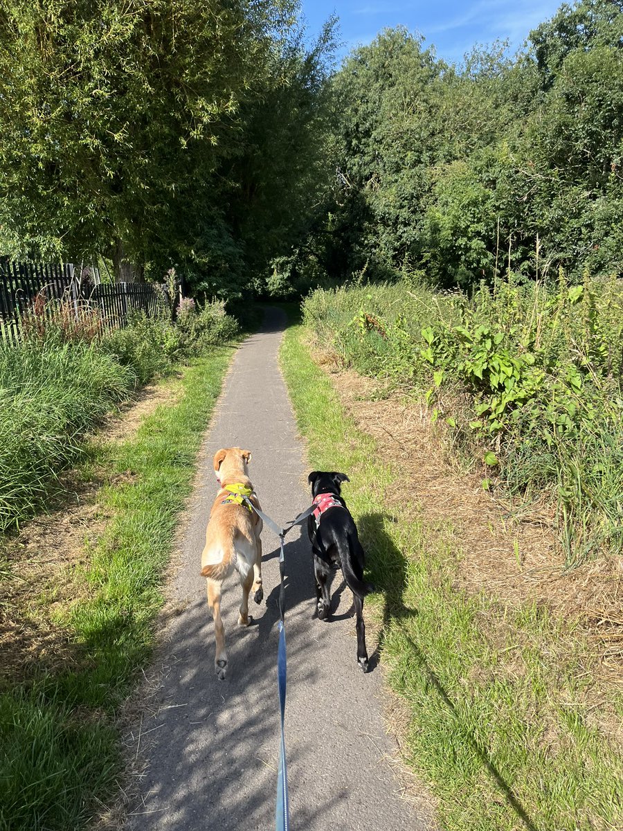 Sonia English tweet media