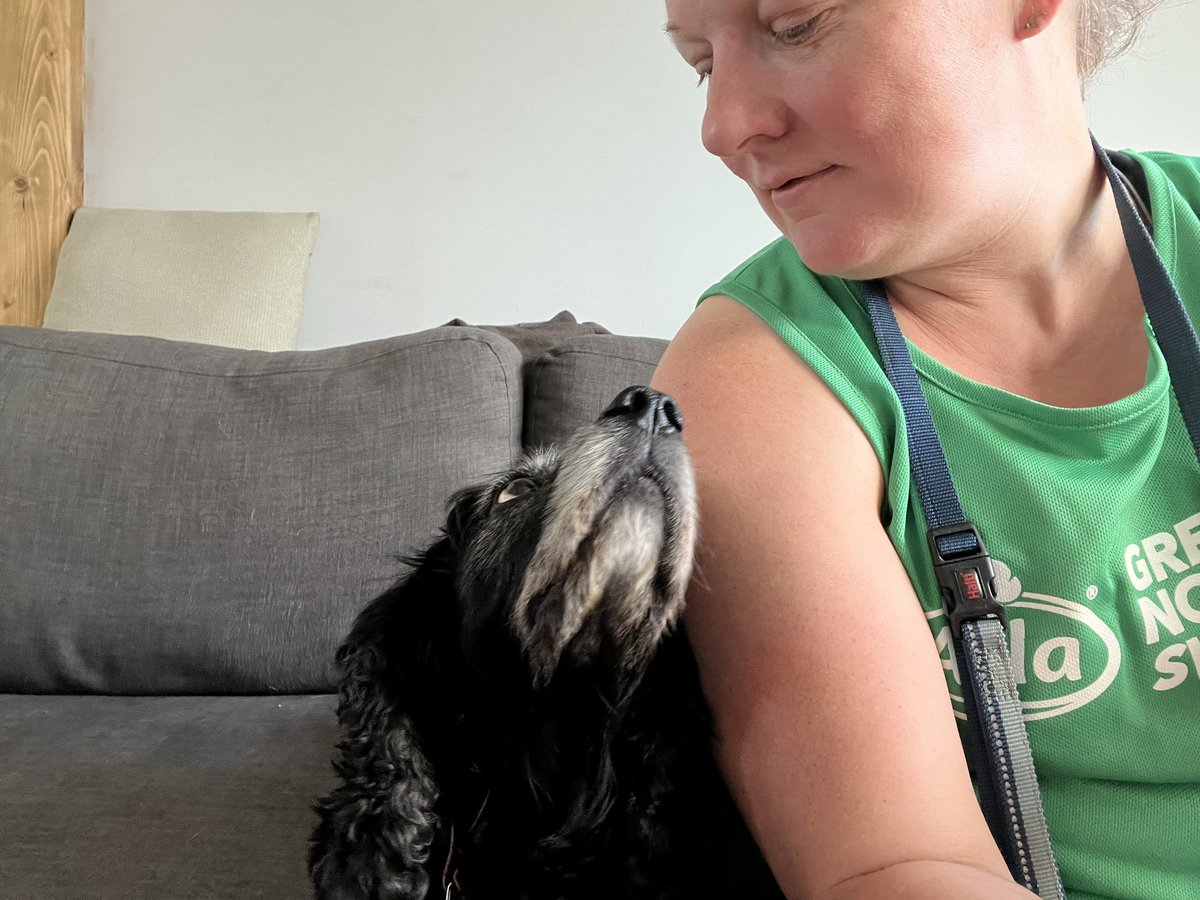 Sonia English tweet media