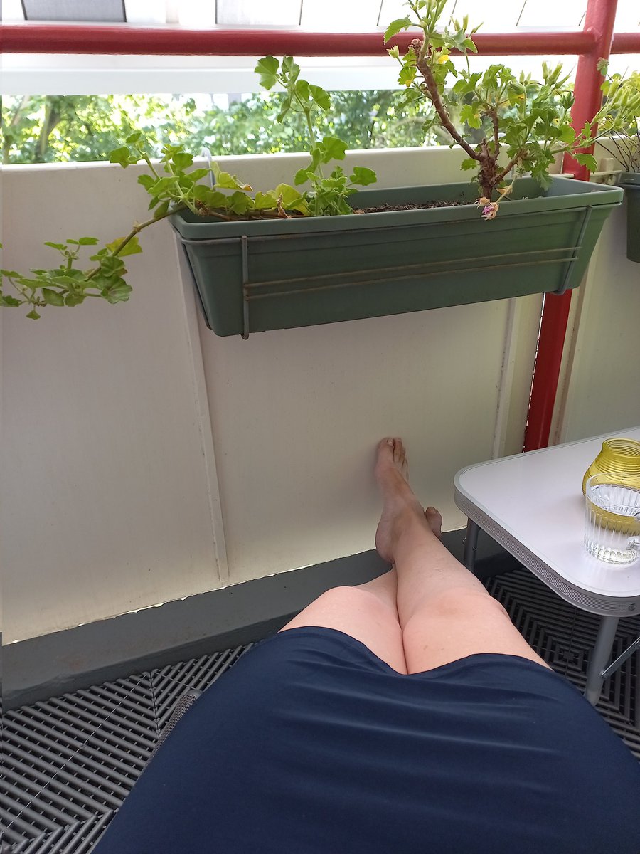 AmsterdamNurse's tweet photo. Groetjes vanaf de #balkontuin https://t.co/7BTtmADXCM