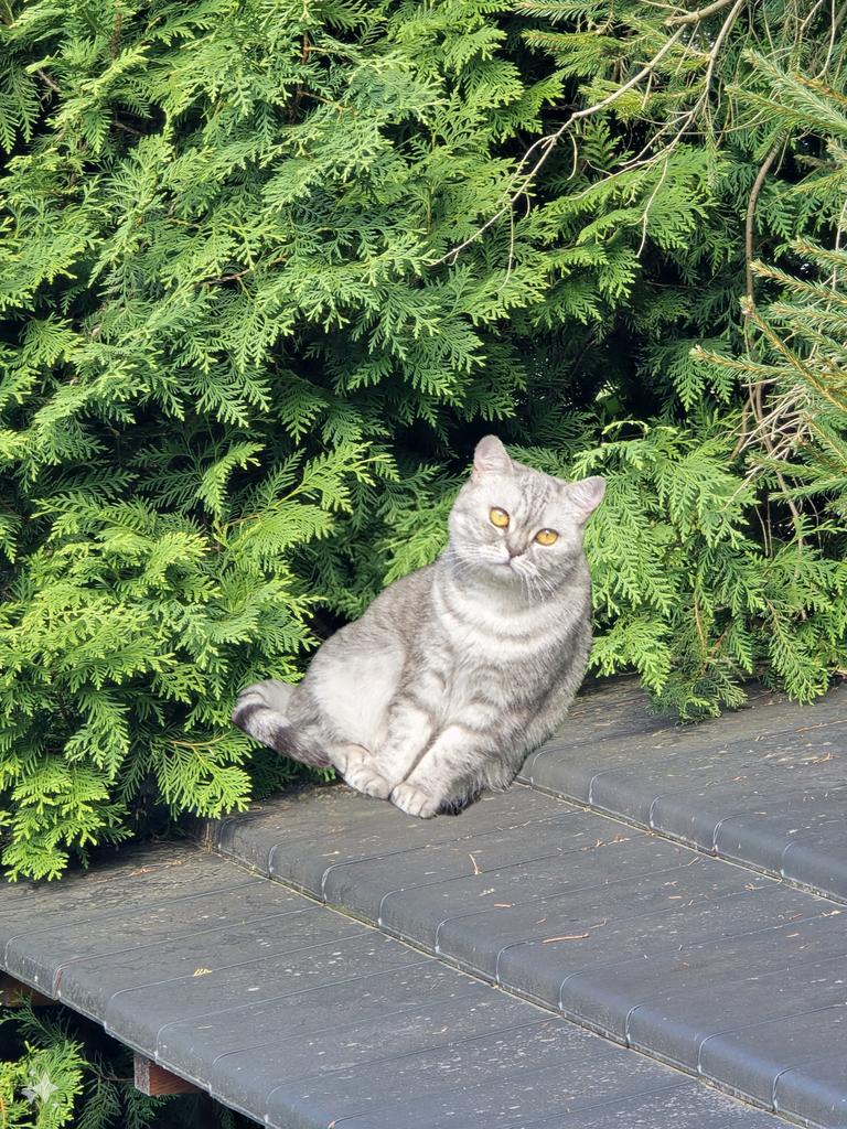 Die ist ja irl wirklich so schief