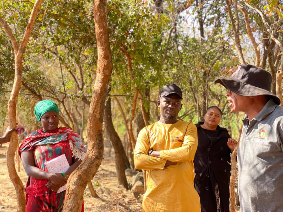 EL-THREE tweet media