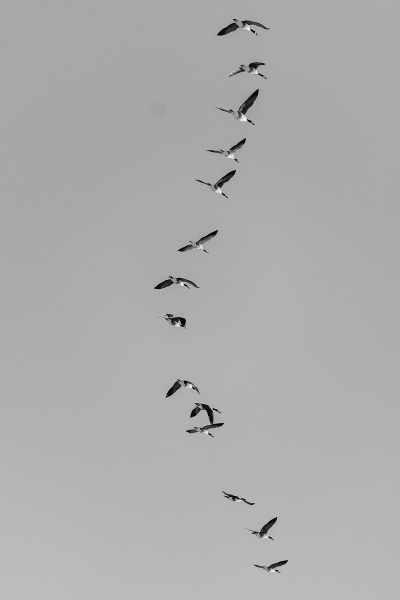 Foto fra Danmark • Dag 3 #dknatur #danmark #foto